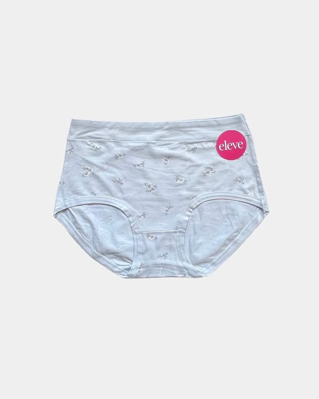 plus size panties