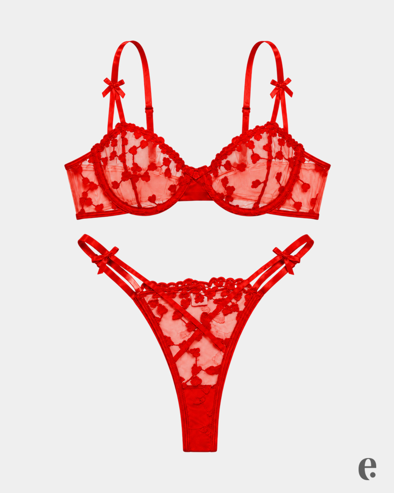 Heart Embroidered Mesh Bra & Thong Set