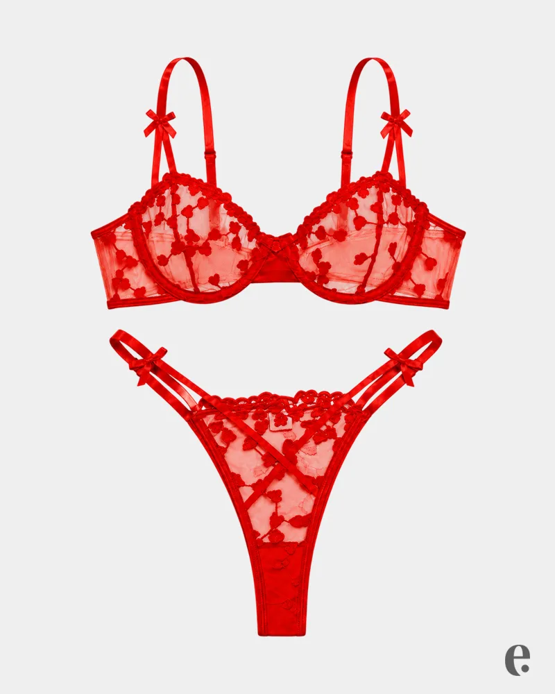 Heart Embroidered Mesh Bra & Thong Set