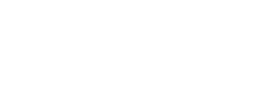Eleve Logo